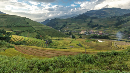 Rice fields on terraced of Mu Cang Chai.