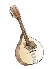 mandolin hand drawing  on white