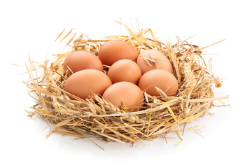 Chicken eggs in nest.