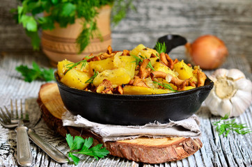 Potato baked with chanterelles,onion and dried herbs.