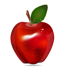 Apple isolated logo vector
