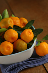 Home grown calamondins
