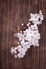 Obraz na płótnie Canvas Beautiful spring flowers on a vintage wood background
