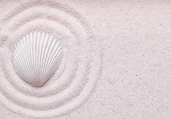 Fototapeta na wymiar Zen garden with a sea shell and wave pattern in the sand