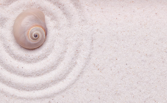 Zen garden with  a shell  and wave pattern in the sand