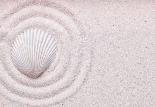 Zen garden with  a sea shell  and wave pattern in the sand