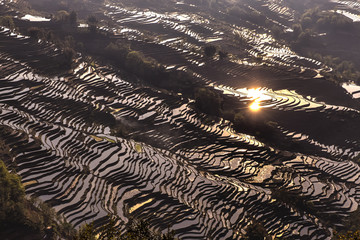 Rice terrace in Yuanyang, Yunnan, China