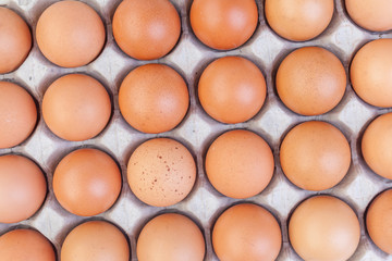 High angel shot of brown eggs in cardboard on white background