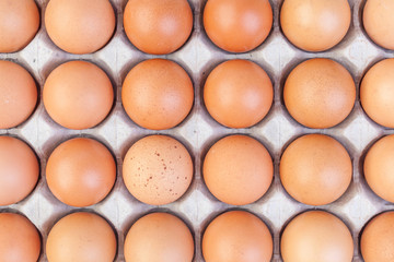 Eggs and paper egg tray on white background