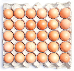 Fresh brown eggs in cardboard on white background