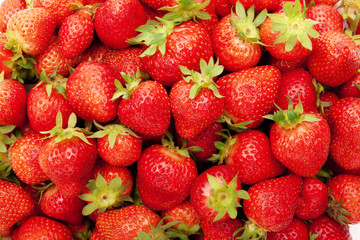 Erdbeeren