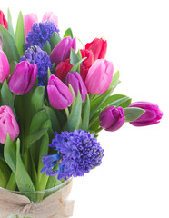 bouquet of   blue hyacinth and  tulips