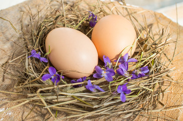 easter basket with easter eggs with violets