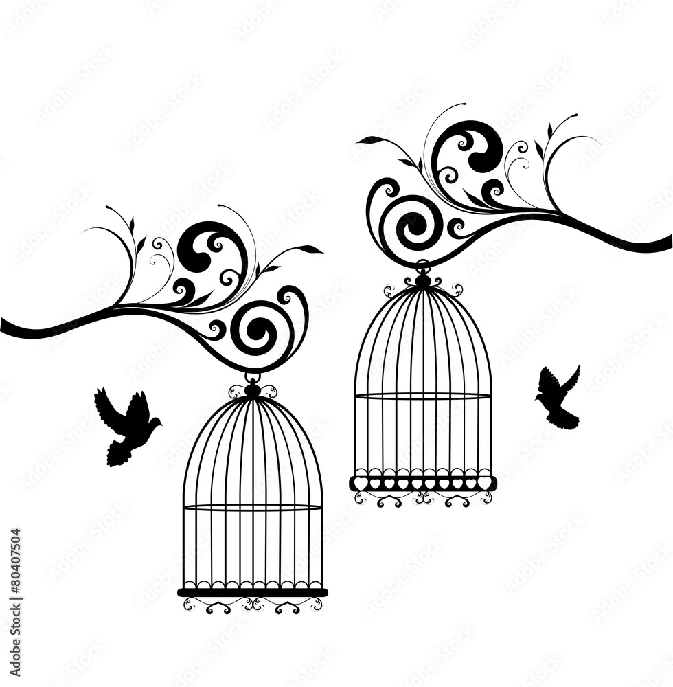 Wall mural bird cages