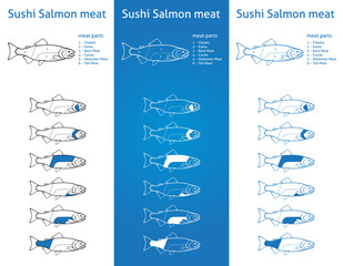 Sushi salmon meat diagram