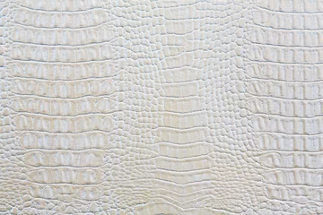 Foto op Plexiglas Crocodile skin white leather background © Prostock-studio