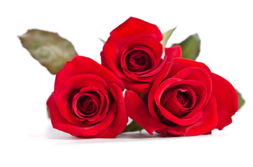 beautiful three red roses isolated on white background