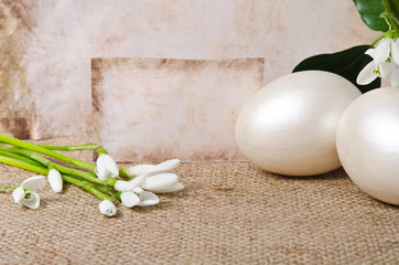 Snowdrop with  eggs for easter near empty blank for text on sack