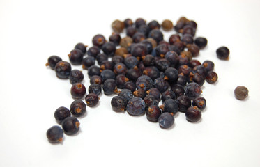 juniper berries