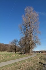 Fototapeta premium Landschaft im Frühjahr