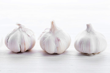 Garlic