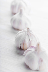 Garlic