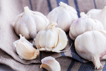 Garlic