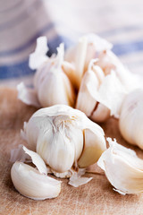 Garlic