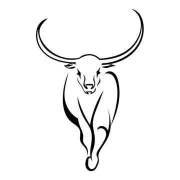 Frontal bull walking isolated on white background. Vector illust