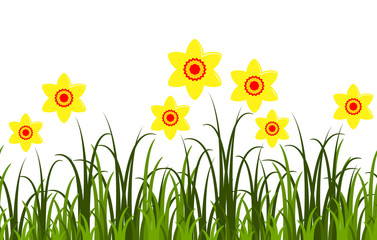 daffodils border