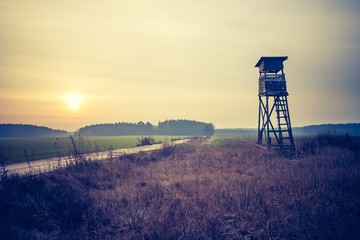 Raised hide on field