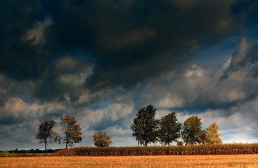 Uroki Jesiennego Podlasie - Polska © Wojciech Lisiński
