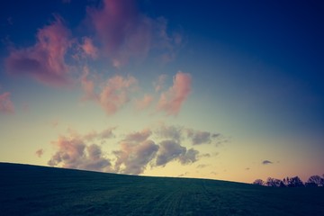 Vintage photo of young green cereal field © milosz_g