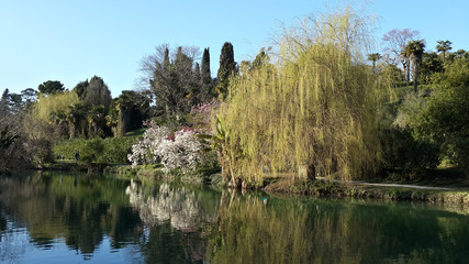 Весенние отражения, озеро в парке © lana4ka