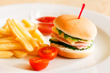 burger with french fries