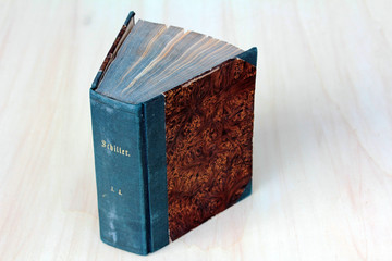 Das alte Buch von Schiller 1853