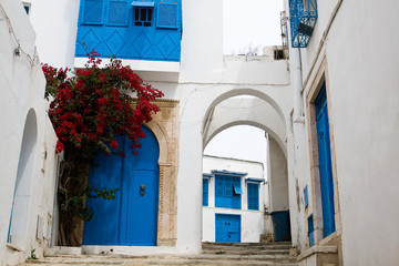 Fototapeta premium Blue doors, window and white wall of building in Sidi Bou Said,