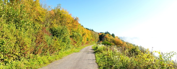 Feldweg im Herbst