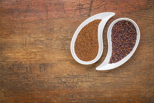 kaniwa and quinoa  gluten free grains