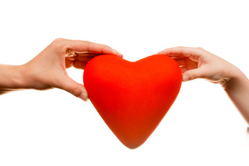 Fototapeta premium Red heart in man hands, isolated on white