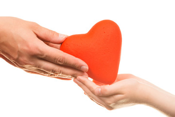 Red heart in man hands, isolated on white