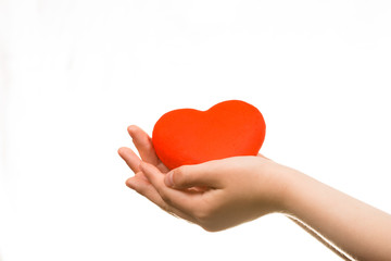 Obraz premium Heart in the hands isolated