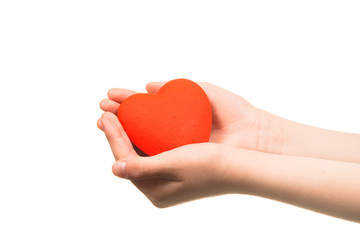 Obraz premium Heart in the hands isolated