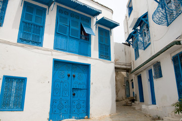 Fototapeta na wymiar Blue doors, window and white wall of building in Sidi Bou Said,