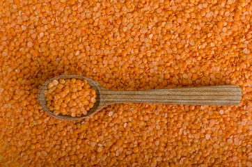 Variations lentils, lentils bio