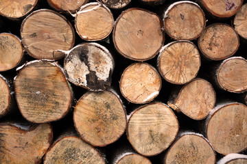 Firewood texture. Picture can be used as a background