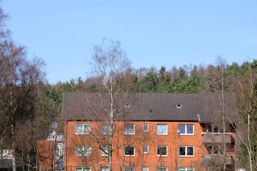 House in the forest among the trees