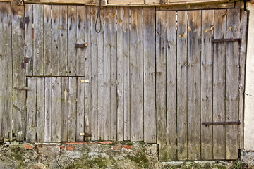 barn wall with doors, made of old wooden planks in early Spring