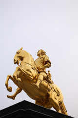 Obraz premium Goldener Reiter in Dresden