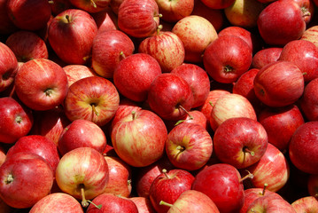Äpfel 1